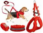 Petlia Fur Padded Nylon Dog Body Belt Dog Belt Dog Leash Large (Neck Size - 18-30 inch) (Chest Size - 24-34 inch) Combo Harness Collar Leash pack 3 Red