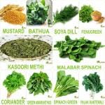 Flare Seeds Leafy Vegetable Seeds Combo Set Seed 10 Per Packet