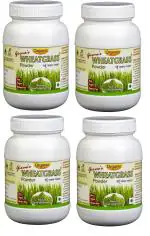 Girme's Wheatgrass Powder 100g Bottle - Pack of 4