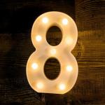 SATYAM KRAFT Marquee Number - 8 Shaped LED Light (White)