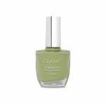 Clamy SeaFoam 12 Long Lasting Liquid Steadfast Matte Finish Nail Polish - 14 ml