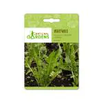 National Gardens Italian Chicory Greens Vegetable Seeds (40 Nos)