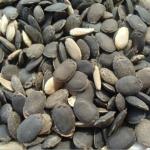Tamransh Grah Pravesh Sponge Gourd Seeds, 30 Seeds