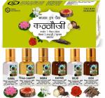 Parag Fragrances Kannauji Attar (Kamal, Kesar-Chandan, Mogra, Kasturi, Gulab & Agar Oudh) (Limited Time Offer Pack) 6Ml X 6Pc Total 36Ml Attar / Long Lasting & Alcohol Free Attar