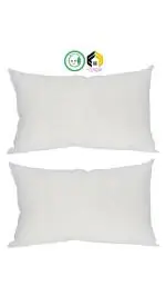 Aarushi White Washable and Comfortable Plain Pillow (pack of 2)