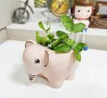 CraftVatika Pink Ceramic Elephant Flower Vase 15.01 x 10.01 cm