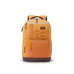 American Tourister Mate 3.0 Style 02, 32 Liters Volume College Backpack with Front Organizer and Spacious Interiors for Men and Women - Mustard