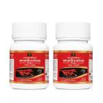 AYURVIDHA KamvedGold Ayurvedic Capsules for Men, Strength, Stamina and Power - Pack of 2