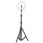 Digitek (DRL-18H C) Professional 46 CM (18 inch) Big LED Ring Light with 6 feet Stand, 2 color modes Dimmable Lighting, for Photo-shoot, Video shoot, Live Stream, Makeup & more, Compatible with iPhone/ Android Phones & Camera