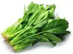 Tamransh Ssplants Palak Indian Spinach Hybrid F1 Vegetable Seeds Kitchen Garden Seed, 50