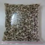 SM Exports ORGANIC MORINGA Seeds PKM2 Variety Drumstick Seeds 250 gms (Saijan ki Phalli,Saragavo)