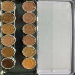 KRYOLAN Derma Color Camouflage Creme Foundation Palette (Delhi-4) (12 Multi-Shades)