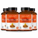 Herb Essential Carica Papaya Leaf Extract 500 mg 60 Tablets (Pack of 4)