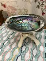 BAKA Abalone shell with stand For Home Decorations