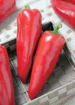 PARYAVARAAN Red Chilli Big / Moti Laal Mirch Seeds For Home & Kitchen Gardening | Vegetables Plants Seeds Pack of 30 Seeds - By PARYAVARAAN