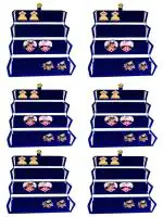 atorakushon Velvet 12 Pair Earrings Organizer accessories Vanity Storage Box For Women and Girls Pack of 6 Blue