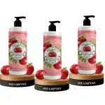 B&B Bliss & Blush Apple Cider Vinegar For Women & Men Shampoo - (Pack Of 3, Each Of 200Ml)