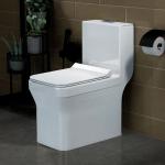 Plantex Platinium Ceramic One Piece Western Toilet/Water Closet/Commode With Soft Close Toilet Seat S Trap Outlet (APS 743, White)