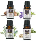 Charming Aura Combo Pack of 4 Essential Oils- 15ml each, Lavender, Eucalyptus, Citronella, Cedarwood- Therapeutic grade