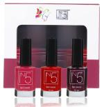 IN5 Chemical and Cruelty Free Boss Lady 3D Shine Glossy Nail Polish - 10 ml (set of 3)