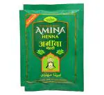 Amina Henna Green Mehndi Powder 550 g (Pack of 20)