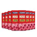 AYUSTAR 555 Premium Rose Dhoop Agarbatti Sticks Pack of 8 | Long Lasting Rose Fragrance