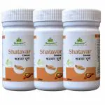Dhanwantri Natural Herbs Care Private Limited Shatwar Churan || 100 grm || Pack of 3