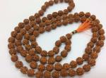 Feel Touch Mart Certified Rudraksha Mala for Men & Women Natural Rudraksha Bead Jaap Puja Astrology Mala