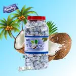 Derby Delightful Tropic (Coconut Toffee)| Jar |Party Pack of 220Pcs Jar | Taste of Tropical Nariyal | Return Gifts | Birthday Party | Summer Treate | Picnic Jar | Vegetarian Candy Pack For all.