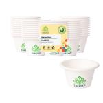 Shrayati Disposable Tea Cups, 25 Pcs, 110 ml, Bagasse Tea Cups, Fruit Shots, Dessert Cups - Eco-Friendly, Biodegradable and Perfect for Everyday Use - Paper Cups Disposable, Pack of 3