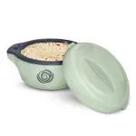 OTTO HOME PRODUCTS - Plastic KRISP Casserole-2500 ml, Green