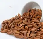 Foodcan Chilgoza Neja Dry Fruits Lebanon Pine Nuts With Shell 50g