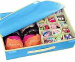 SH NASIMA Blue Non Woven Lingerie Storage