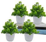 Laefy Dew Set of 4 Beautiful Home & Office Decoration Bonsai Wild Artificial Plant with Pot (16 cm, Green, White)