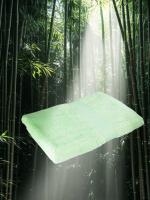 REGENCY EXPORTS PVT.LTD Bamboo Shizen Bath Towel 100% Cotton 600 GSM Set of 1 Green