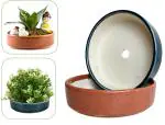 PLANTORI Bonsai Ceramic Pots [Flat Trays for Plants | Height - 1.75 inch, Dia - 6 inches, Set of 2]