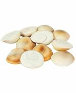 zoltamulata Natural White Gomati Chakra for Pooja (51 pc)