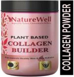 Naturewell Collagen Powder Supplement Orange Flavor, 550 Gram