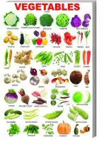 Surmul Multicolor Sunboard Medium Vegetables Names Learning Chart Self Adhesive Sticker