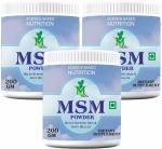 MINTVEDA Msm Powder Plant-Based Protein, 200 G Each (Pack Of 3)