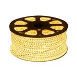 Buy Ever Forever 5 Meter Rope Light Warm White Online at Best Prices in ...