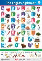 Jumbo English Alphabet and Numbers Chart for Kids | Perfect For Nursery Kids