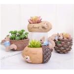 Craftify Squirrel Shape Resin Pot,Cute Squirrel Fleshy Succulent Planter Pot Handpicked Beauty Enhancer Design| Planter Unique Design Succulent Pots Polyresin Pot without Plant Pack of 4 Multicolor