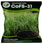 Iagrifarm CoFs 31 Fodder Sorghum Seed - 1 Kg - MultiCut for Fodder Cultivation