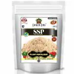 Sansar Agro SSP Super Single Sulphate, Essential plant Fertilizer for Plants (900 gm)