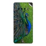 GADGETSWRAP Printed Vinyl Skin Sticker for Samsung Galaxy S10 Plus - Peacock Wings