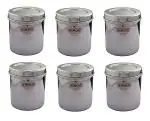 Vinod Stainless Steel Container with Lid - (250 ml) 6 Pieces, Silver