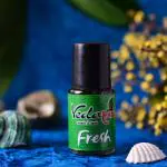 Vedashree Car Perfume Refill for Wooden Dashboard - Refreshing & Long-lasting - Car Air freshener Refill- Car Perfume Refill - Luxury Fresh Fragrance - 12ml