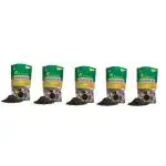 WORLD OF GREENSKEEPER Succulant Mix 900g Pack for Rich Home Gardening Experience (Pack of 5)