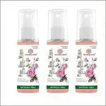Soundarya Herbs Rose Water Spray For Face & Skin .Girl , Boy Men & Women (100 ml) Pack 3